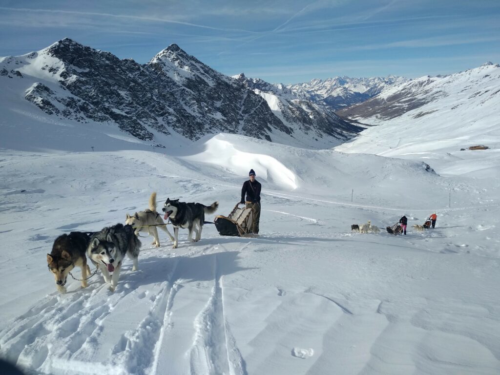 Les montagnes du Queyras et une balade en chiens de traineau