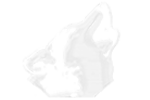 logo de Leila'venture simplifié