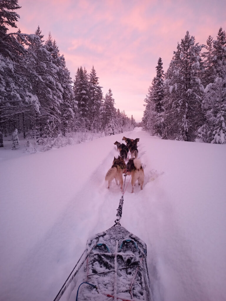 Ciel rose sur la neige pendant le raid en Suède